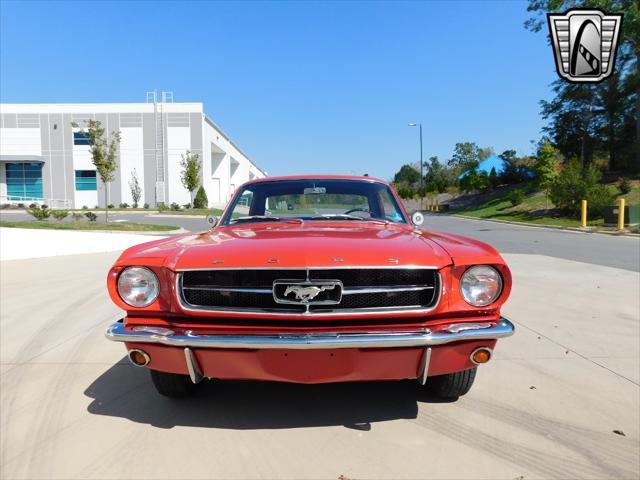 used 1964 Ford Mustang car, priced at $28,000