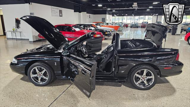 used 1996 Ford Mustang car, priced at $33,000