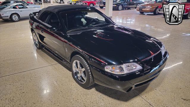 used 1996 Ford Mustang car, priced at $33,000