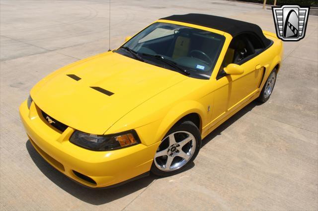 used 2004 Ford Mustang car, priced at $49,000