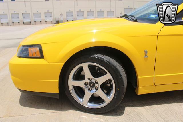 used 2004 Ford Mustang car, priced at $49,000