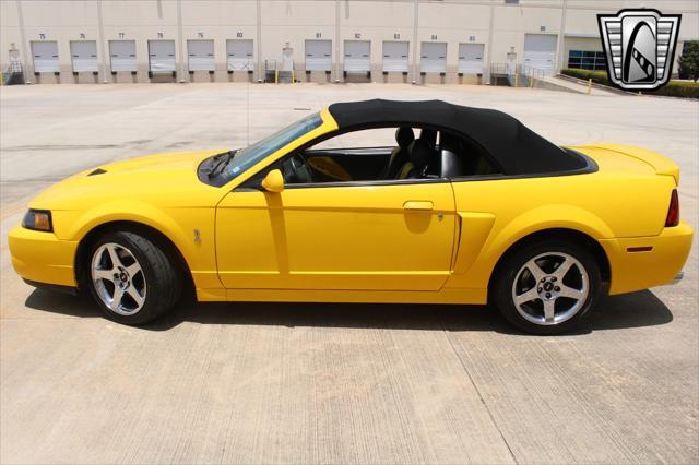 used 2004 Ford Mustang car, priced at $49,000