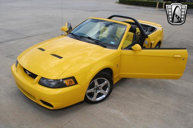 used 2004 Ford Mustang car, priced at $49,000