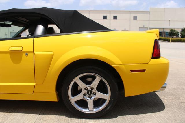 used 2004 Ford Mustang car, priced at $49,000