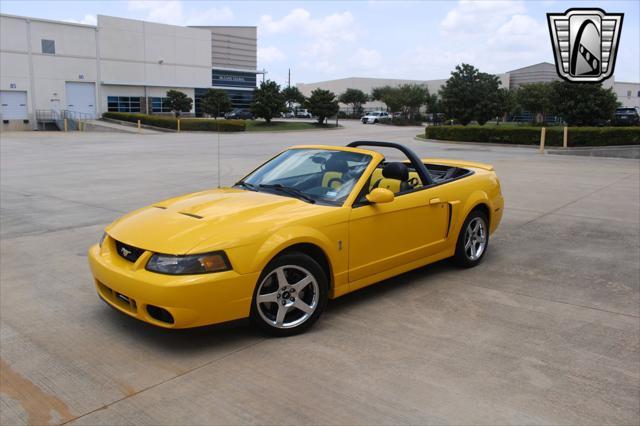 used 2004 Ford Mustang car, priced at $49,000