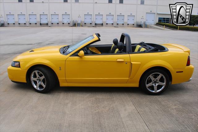 used 2004 Ford Mustang car, priced at $49,000