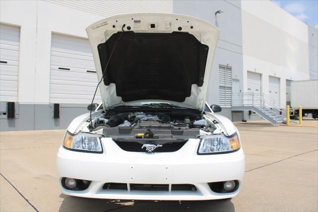 used 1999 Ford Mustang car, priced at $24,000