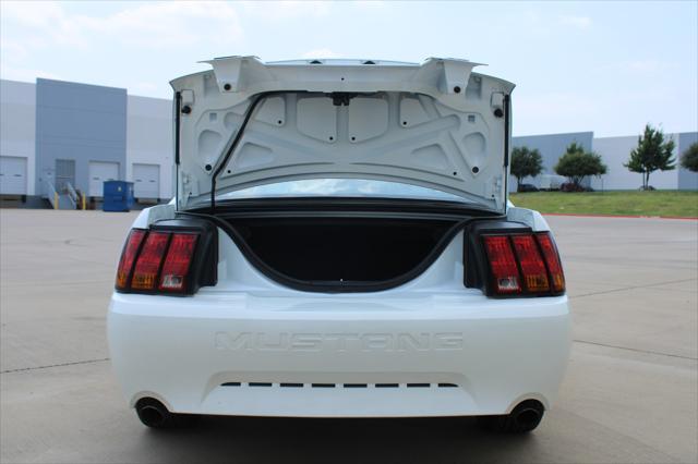 used 1999 Ford Mustang car, priced at $24,000