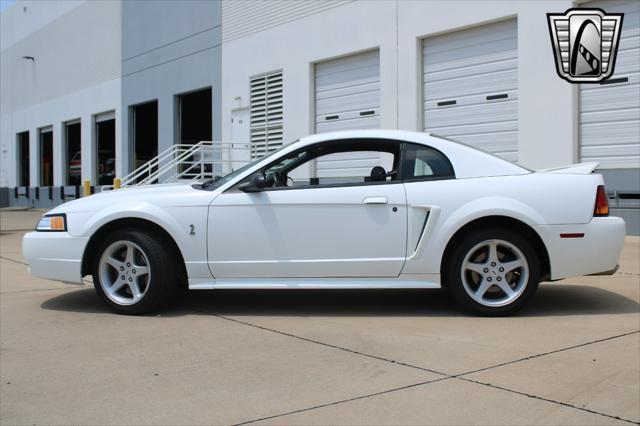 used 1999 Ford Mustang car, priced at $24,000