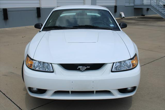 used 1999 Ford Mustang car, priced at $24,000