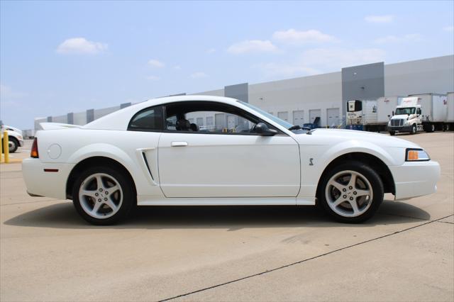 used 1999 Ford Mustang car, priced at $24,000