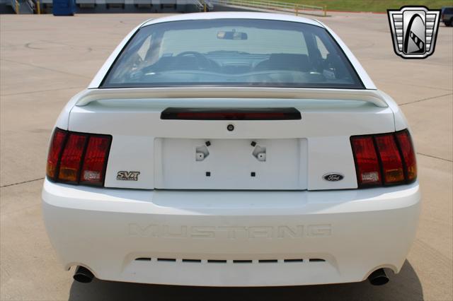 used 1999 Ford Mustang car, priced at $24,000