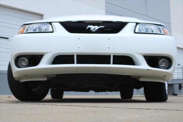 used 1999 Ford Mustang car, priced at $24,000