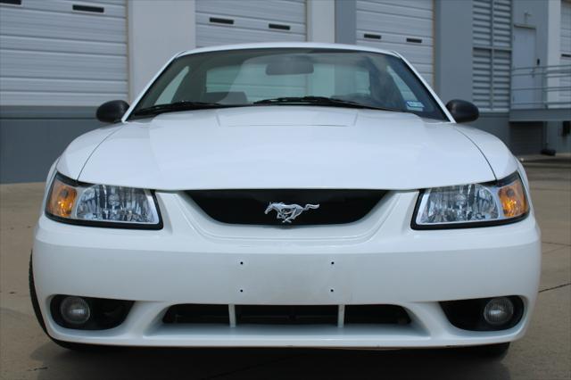 used 1999 Ford Mustang car, priced at $24,000