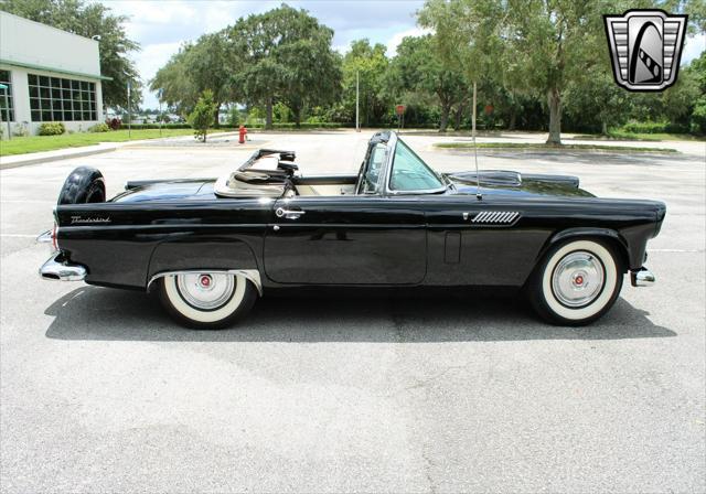 used 1956 Ford Thunderbird car, priced at $33,000