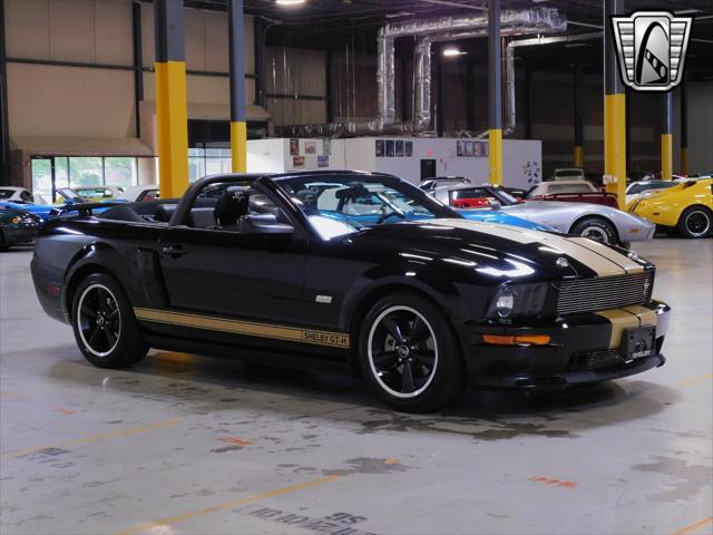 used 2007 Ford Mustang car, priced at $42,000