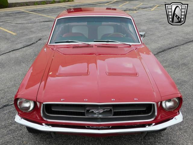 used 1967 Ford Mustang car, priced at $31,000