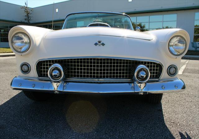 used 1955 Ford Thunderbird car, priced at $20,000