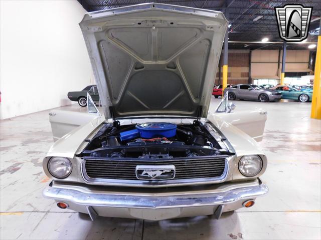 used 1966 Ford Mustang car, priced at $49,000