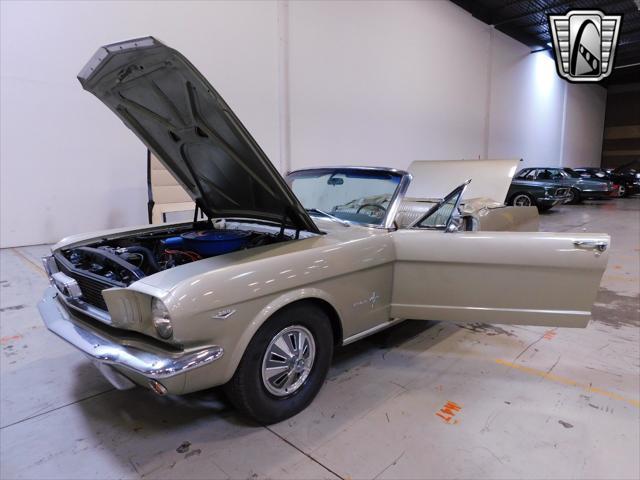 used 1966 Ford Mustang car, priced at $49,000