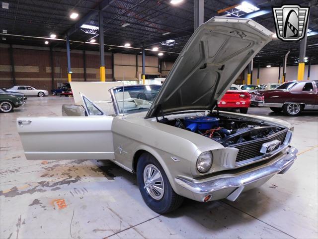 used 1966 Ford Mustang car, priced at $49,000