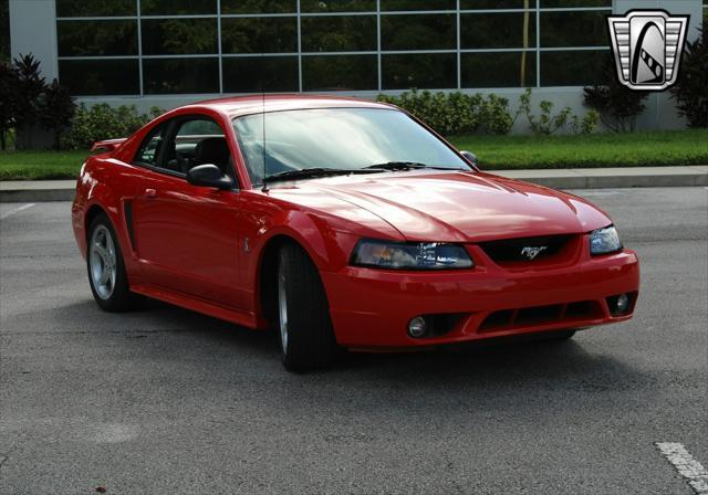 used 2001 Ford Mustang car, priced at $38,000