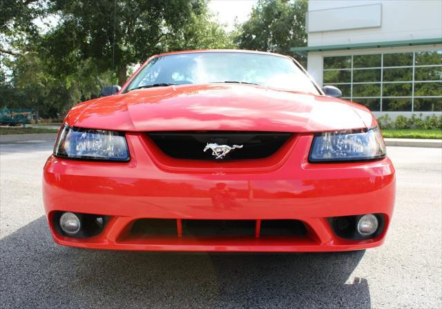 used 2001 Ford Mustang car, priced at $38,000