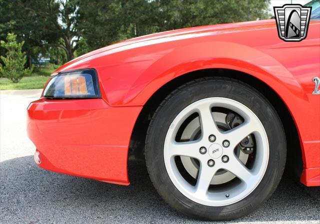 used 2001 Ford Mustang car, priced at $38,000