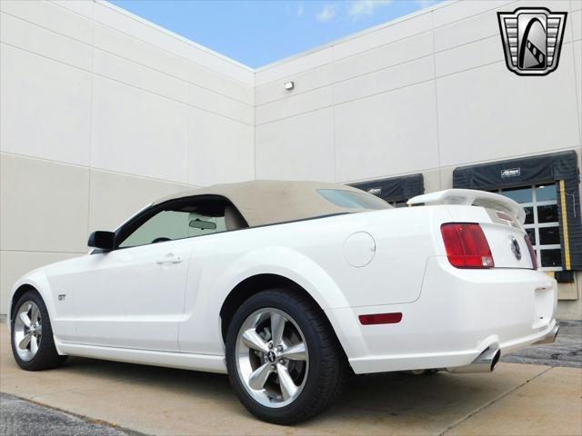 used 2006 Ford Mustang car, priced at $24,000