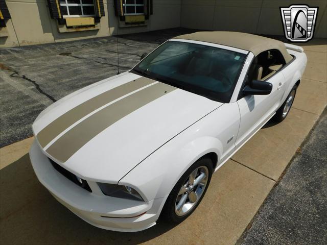 used 2006 Ford Mustang car, priced at $24,000