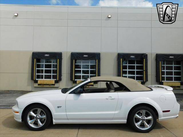 used 2006 Ford Mustang car, priced at $24,000