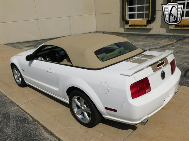 used 2006 Ford Mustang car, priced at $24,000