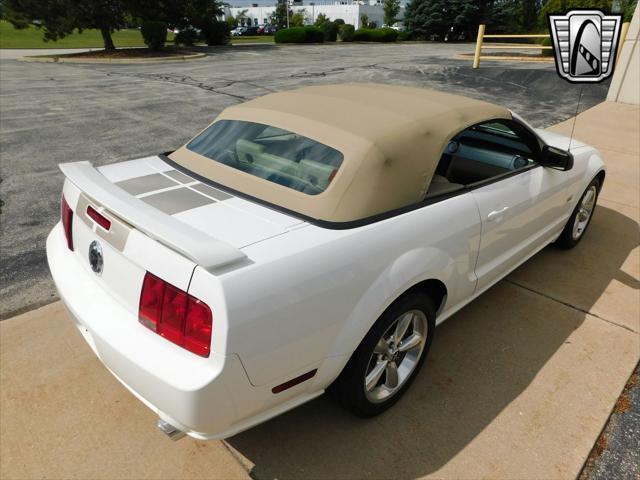 used 2006 Ford Mustang car, priced at $24,000