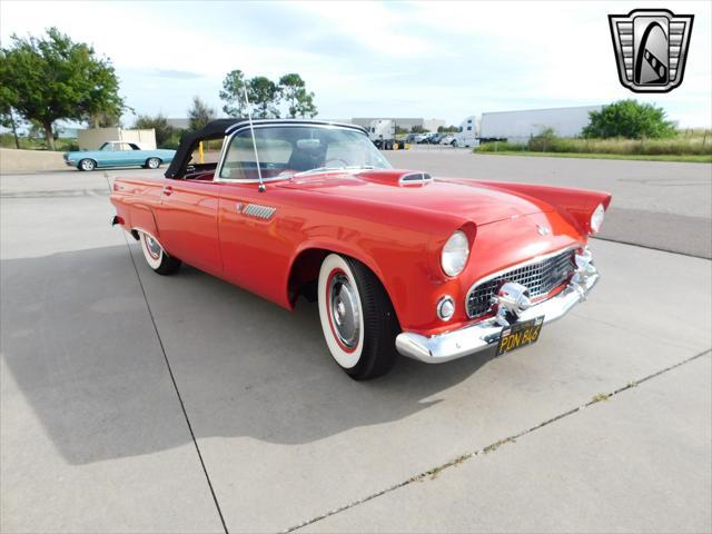 used 1955 Ford Thunderbird car, priced at $48,000