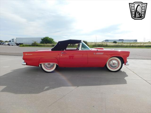 used 1955 Ford Thunderbird car, priced at $48,000