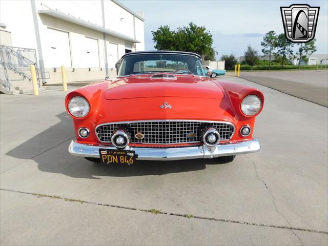 used 1955 Ford Thunderbird car, priced at $48,000