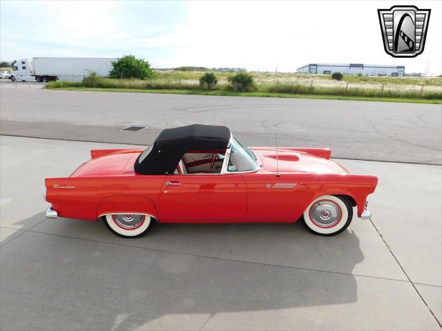 used 1955 Ford Thunderbird car, priced at $48,000