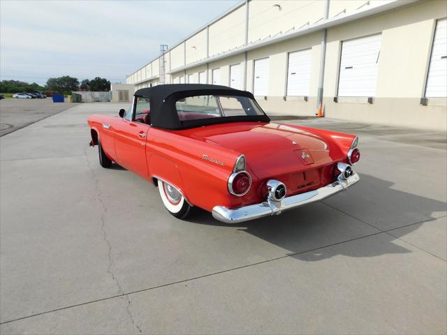 used 1955 Ford Thunderbird car, priced at $48,000