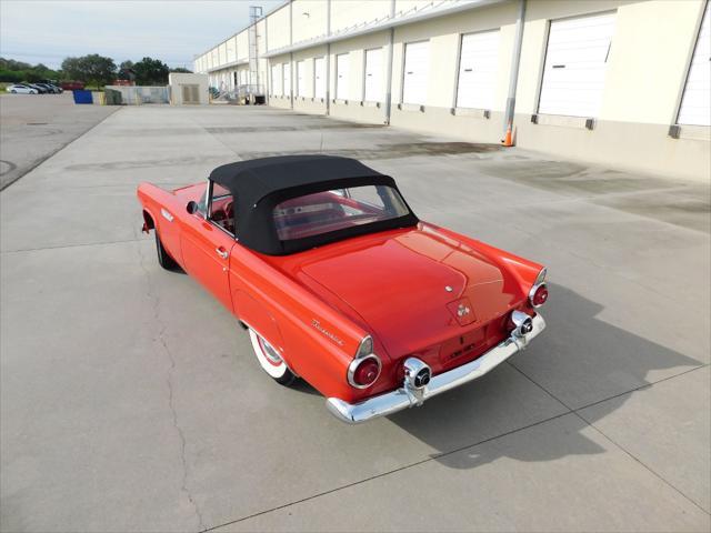 used 1955 Ford Thunderbird car, priced at $48,000