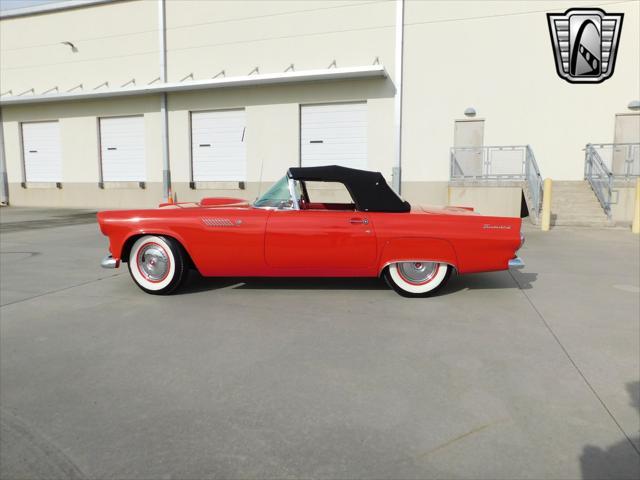 used 1955 Ford Thunderbird car, priced at $48,000