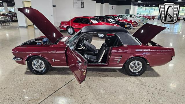 used 1966 Ford Mustang car, priced at $28,000