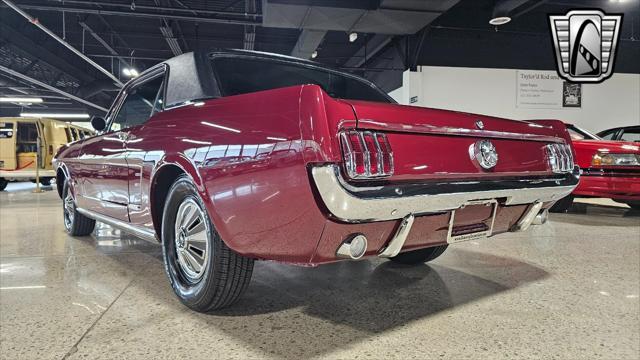 used 1966 Ford Mustang car, priced at $28,000