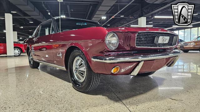 used 1966 Ford Mustang car, priced at $28,000