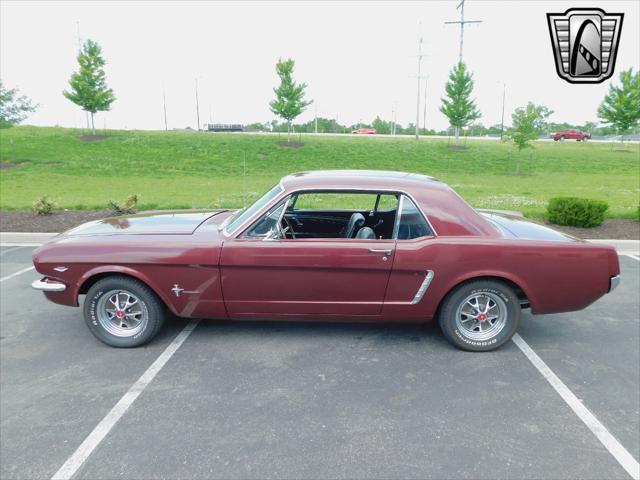 used 1965 Ford Mustang car, priced at $29,000