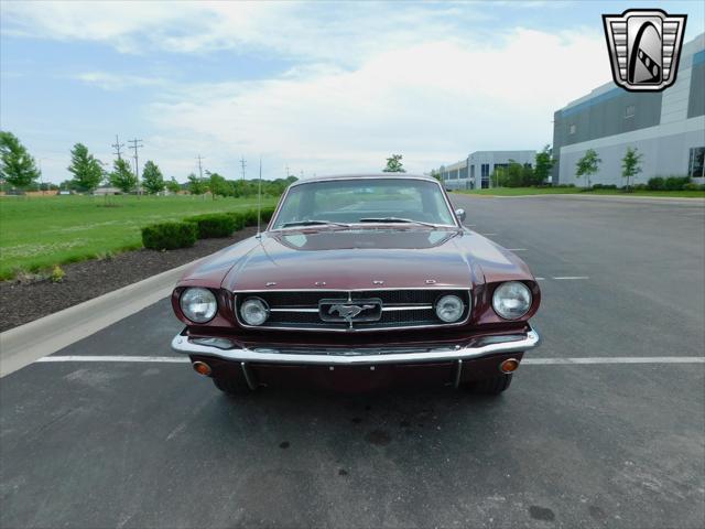 used 1965 Ford Mustang car, priced at $29,000