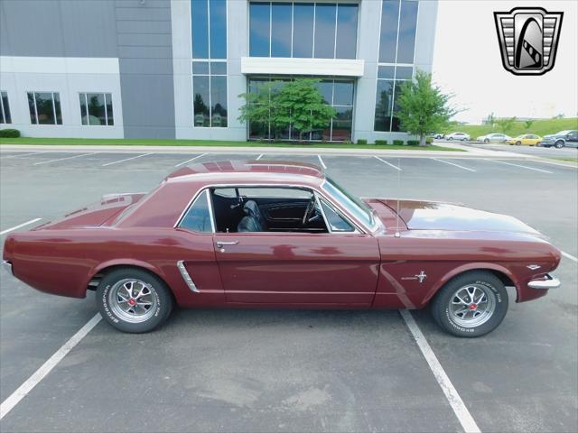 used 1965 Ford Mustang car, priced at $29,000