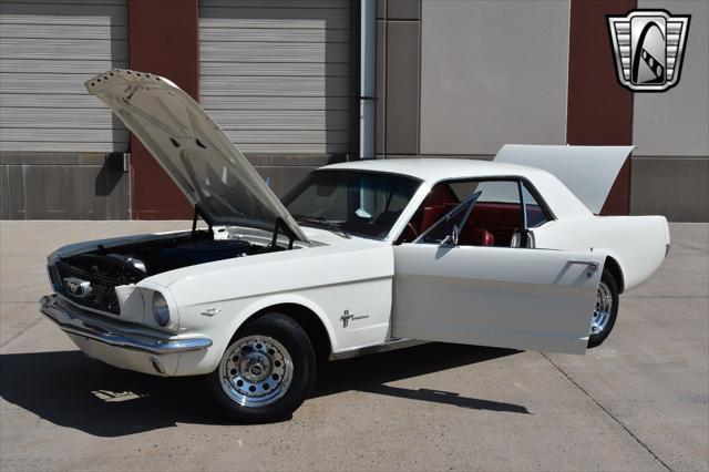 used 1966 Ford Mustang car, priced at $24,000