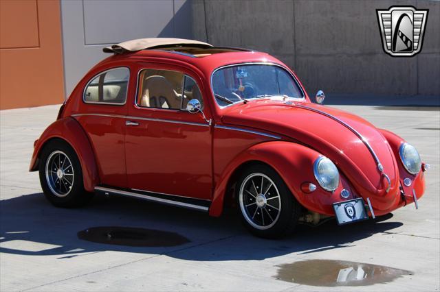 used 1966 Volkswagen Beetle (Pre-1980) car, priced at $70,000