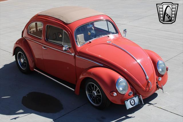 used 1966 Volkswagen Beetle (Pre-1980) car, priced at $70,000