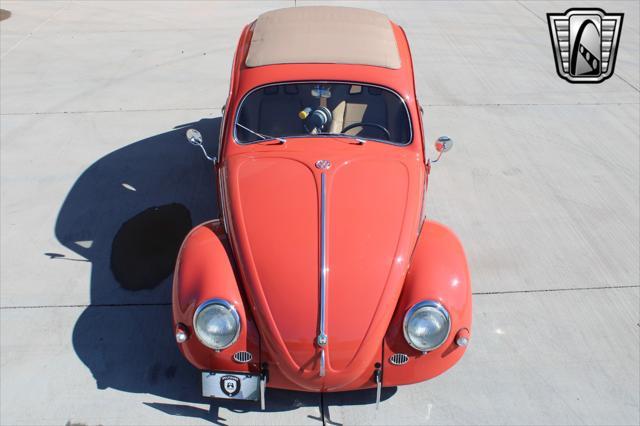 used 1966 Volkswagen Beetle (Pre-1980) car, priced at $70,000